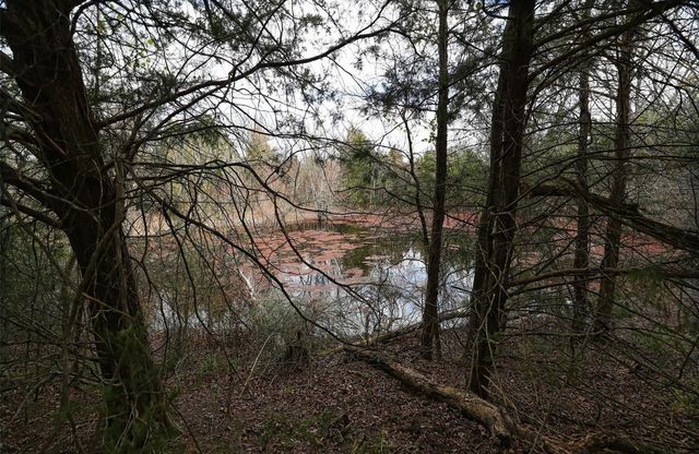 291 VZ County Road 3847, Wills Point, TX 75169