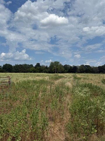 291 VZ County Road 3847, Wills Point, TX 75169
