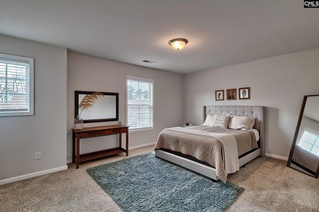 226 Coatsley Drive, Lexington, SC 29072