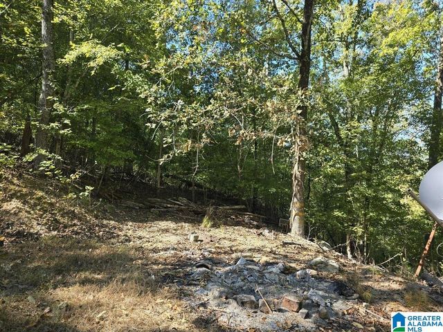 2660 WALDROP ROAD, Ashville, AL 35953
