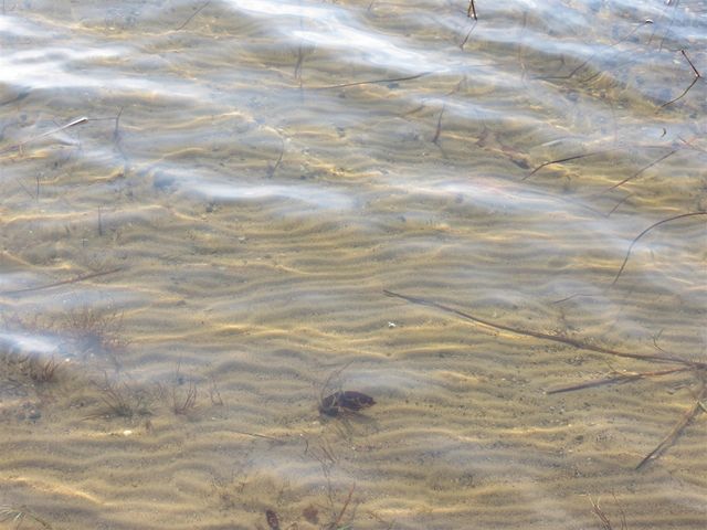 890 White Lake Road, Pleasant Lake, MI 49272