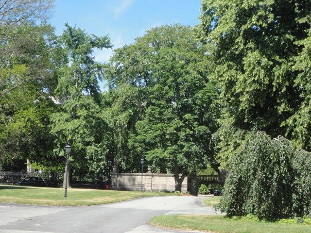 364 BELLEVUE Avenue W-201-S, Newport, RI 02840