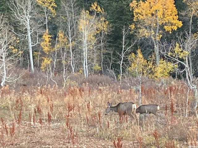 6774 CHAPARRAL DR, Eden, UT 84310