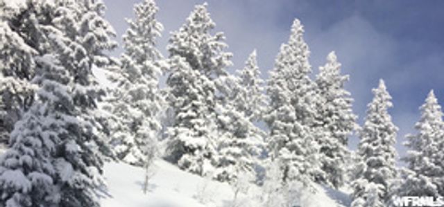 6774 CHAPARRAL DR, Eden, UT 84310