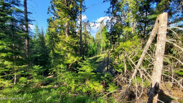 NNA Rebel Way, Bonners Ferry, ID 83805