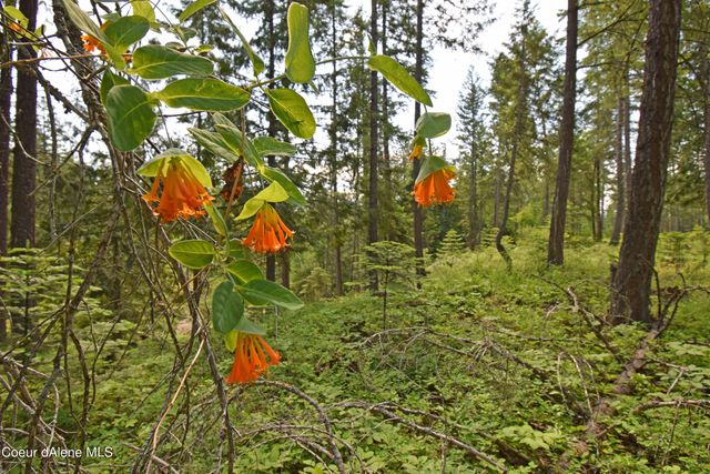 NNA Rebel Way, Bonners Ferry, ID 83805