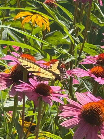 9983 Arcola Court N, Stillwater, MN 55082