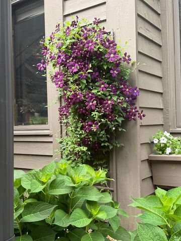 9983 Arcola Court N, Stillwater, MN 55082