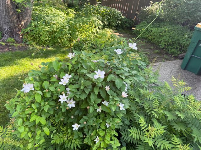 9983 Arcola Court N, Stillwater, MN 55082