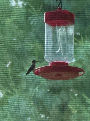 9983 Arcola Court N, Stillwater, MN 55082