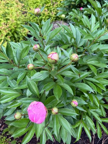 9983 Arcola Court N, Stillwater, MN 55082