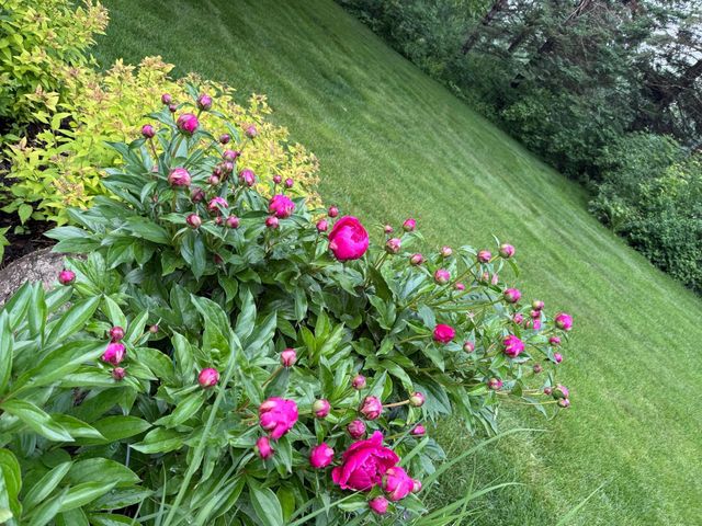 9983 Arcola Court N, Stillwater, MN 55082