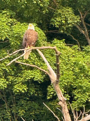 9983 Arcola Court N, Stillwater, MN 55082