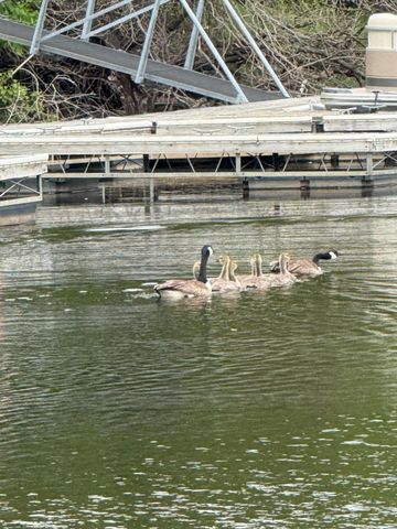 9983 Arcola Court N, Stillwater, MN 55082