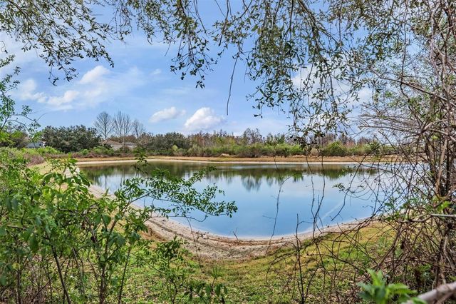 10047 LANDPORT WAY, Land O Lakes, FL 34638