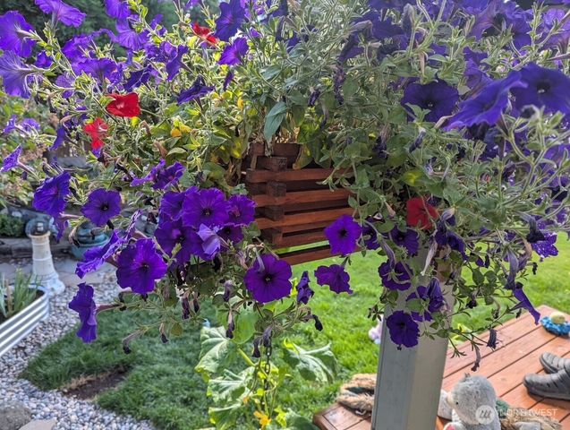 7454 Sole Drive, Blaine, WA 98230