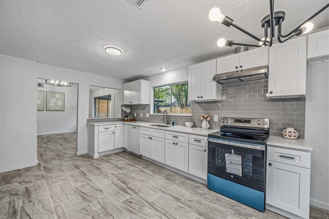 13118 Birch Grove Drive, Houston, TX 77099