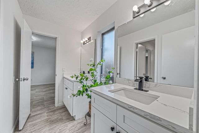 13118 Birch Grove Drive, Houston, TX 77099