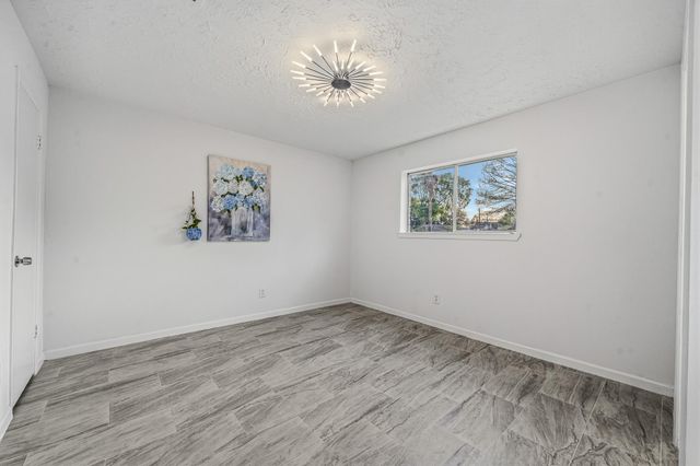 13118 Birch Grove Drive, Houston, TX 77099