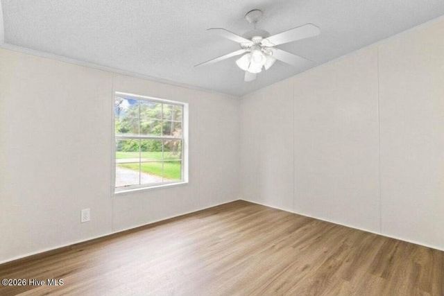 199 N Nc 124 W, Macclesfield, NC 27852