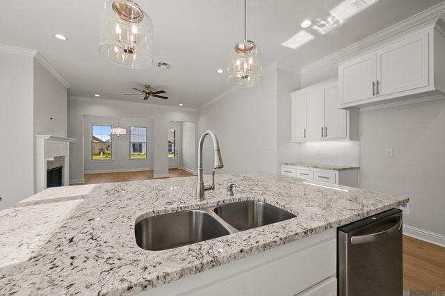 36244 Belle Parc Ave, Geismar, LA 70734