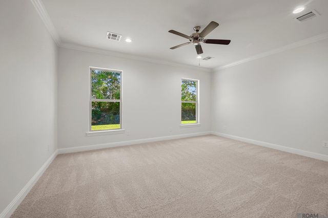 36244 Belle Parc Ave, Geismar, LA 70734