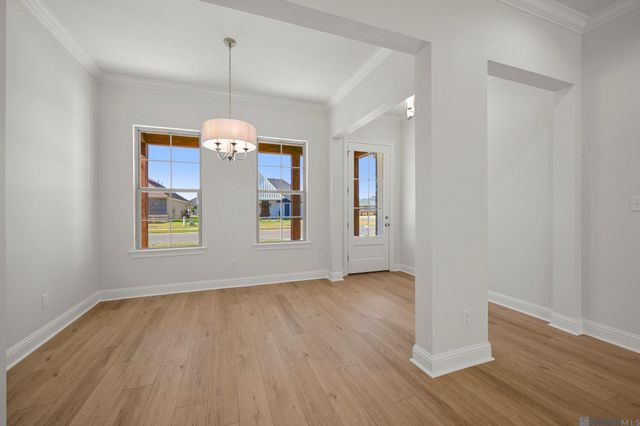 36244 Belle Parc Ave, Geismar, LA 70734