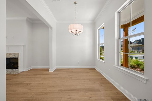 36244 Belle Parc Ave, Geismar, LA 70734