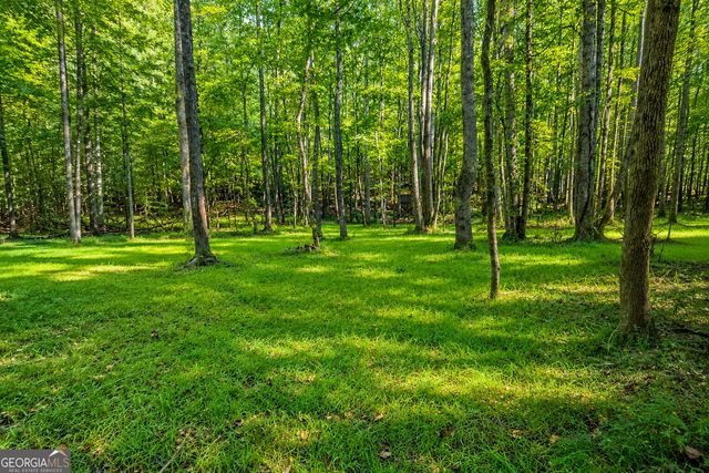 8622 Whitehouse Parkway, Woodbury, GA 30293