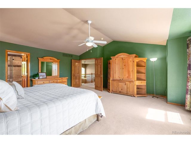 1203 N Calhan Ave, Castle Rock, CO 80104