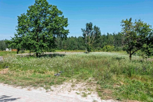 2005 Braidwood Road, Riley, MI 48041