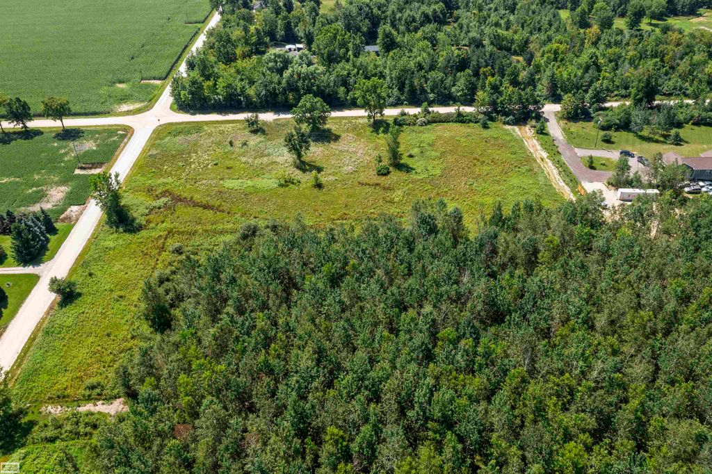 2005 Braidwood Road, Riley, MI 48041