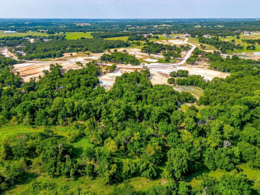 277 Zebrastone Way, Poolville, TX 76487