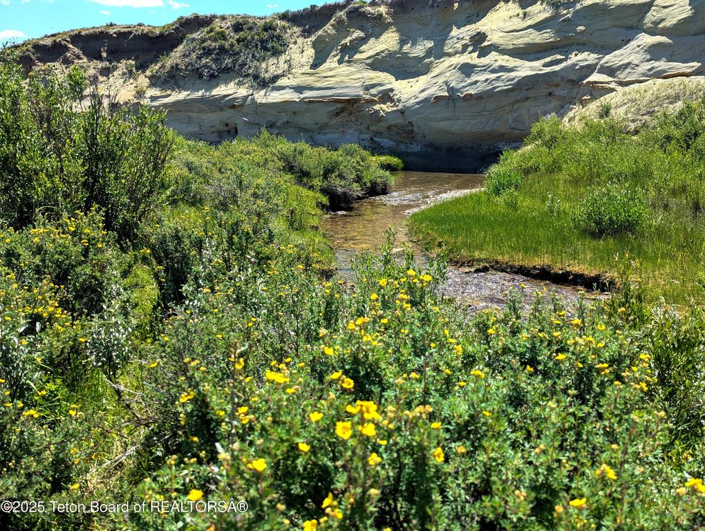 COTTONWOOD-MERNA 23-116, Daniel, WY 83115 photo 8