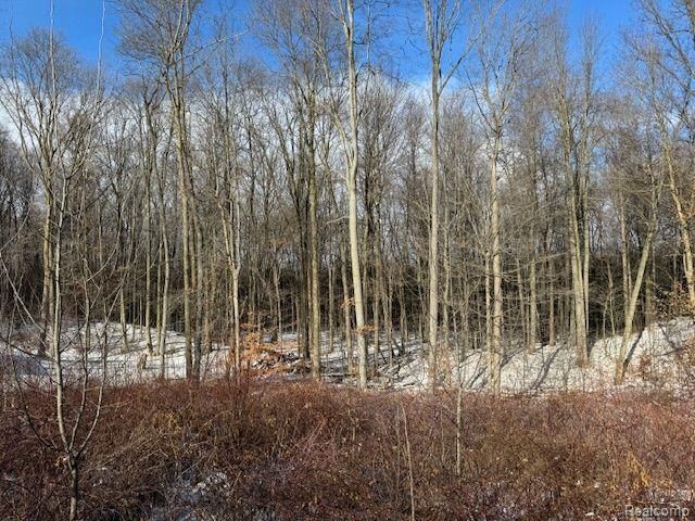 00018 Regional Way, Imlay City, MI 48444