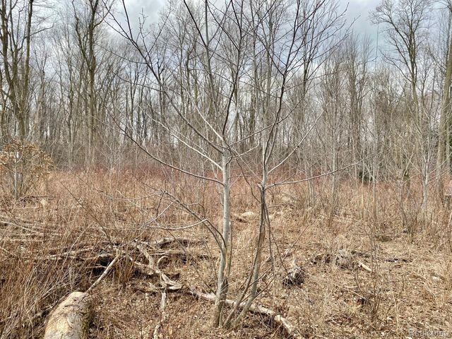 00018 Regional Way, Imlay City, MI 48444