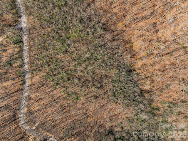 TBD Wild Magnolia Way 52, Zirconia, NC 28790
