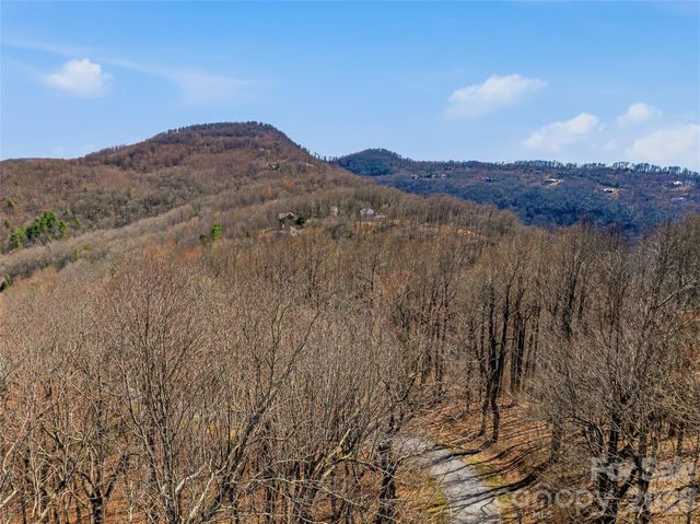 TBD Wild Magnolia Way 52, Zirconia, NC 28790