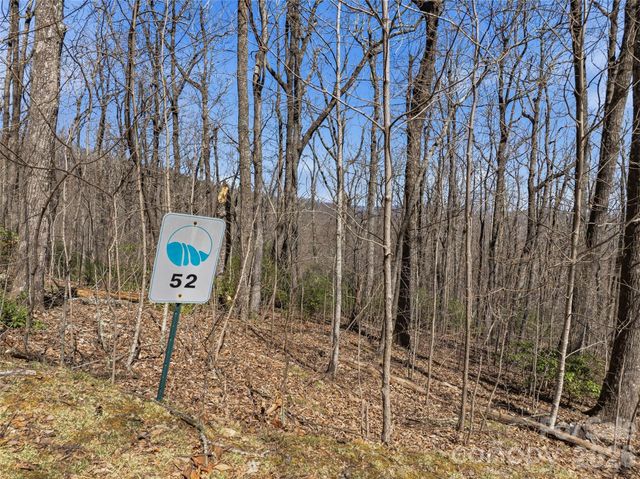 TBD Wild Magnolia Way 52, Zirconia, NC 28790
