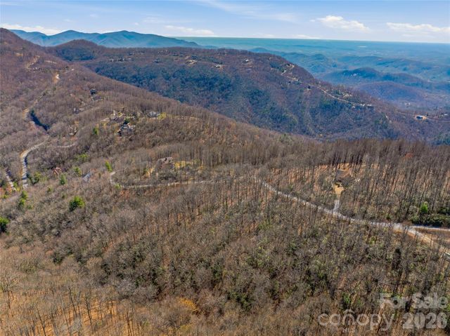 TBD Wild Magnolia Way 52, Zirconia, NC 28790