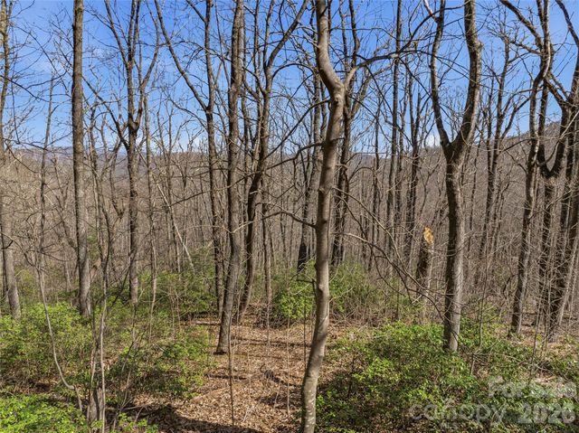 TBD Wild Magnolia Way 52, Zirconia, NC 28790