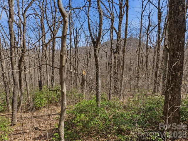 TBD Wild Magnolia Way 52, Zirconia, NC 28790