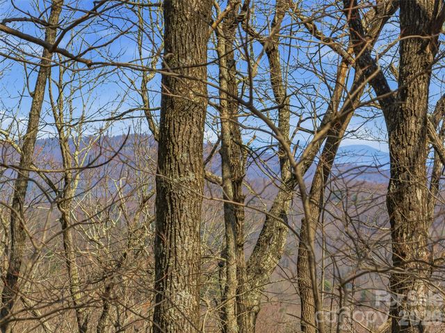 TBD Wild Magnolia Way 52, Zirconia, NC 28790