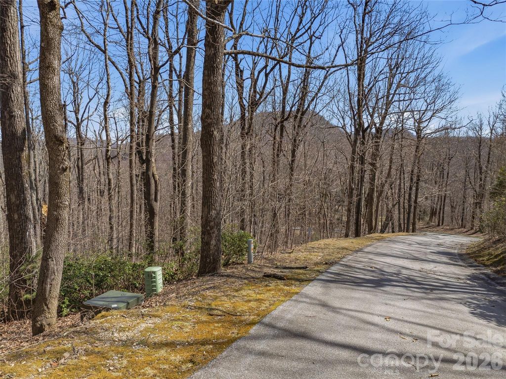 TBD Wild Magnolia Way 52, Zirconia, NC 28790
