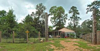 159 & 173 Greens Elbow, Livingston, TX 77351