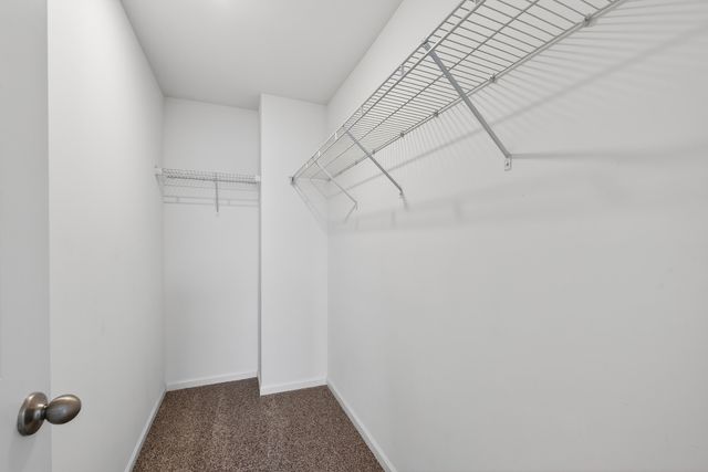 3831 Currant Lane, Elgin, IL 60124