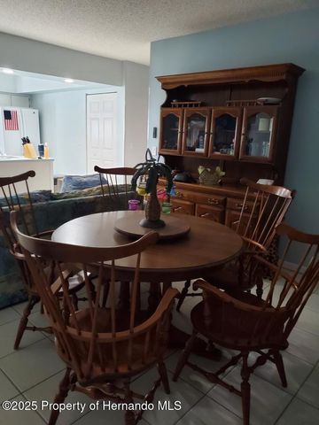 6630 River Run Boulevard, Weeki Wachee, FL 34607