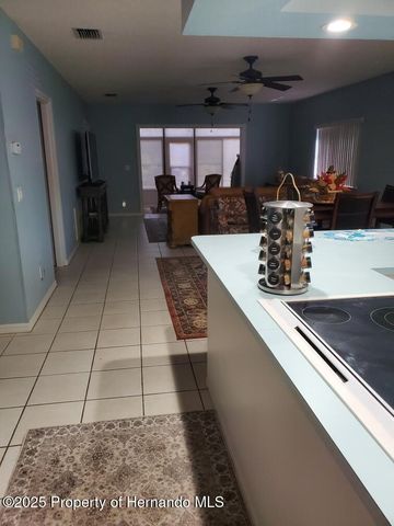 6630 River Run Boulevard, Weeki Wachee, FL 34607