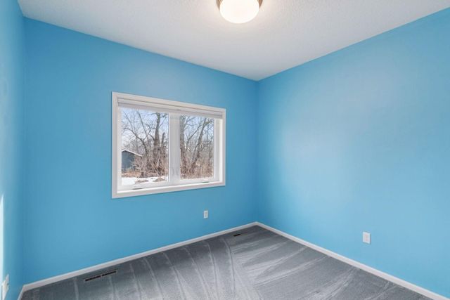 153 Elm Drive W, Carver, MN 55315