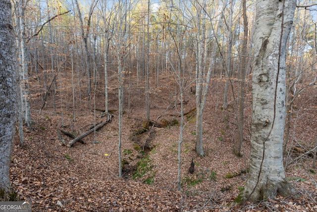 573 Old Yorkville Road, Dallas, GA 30157